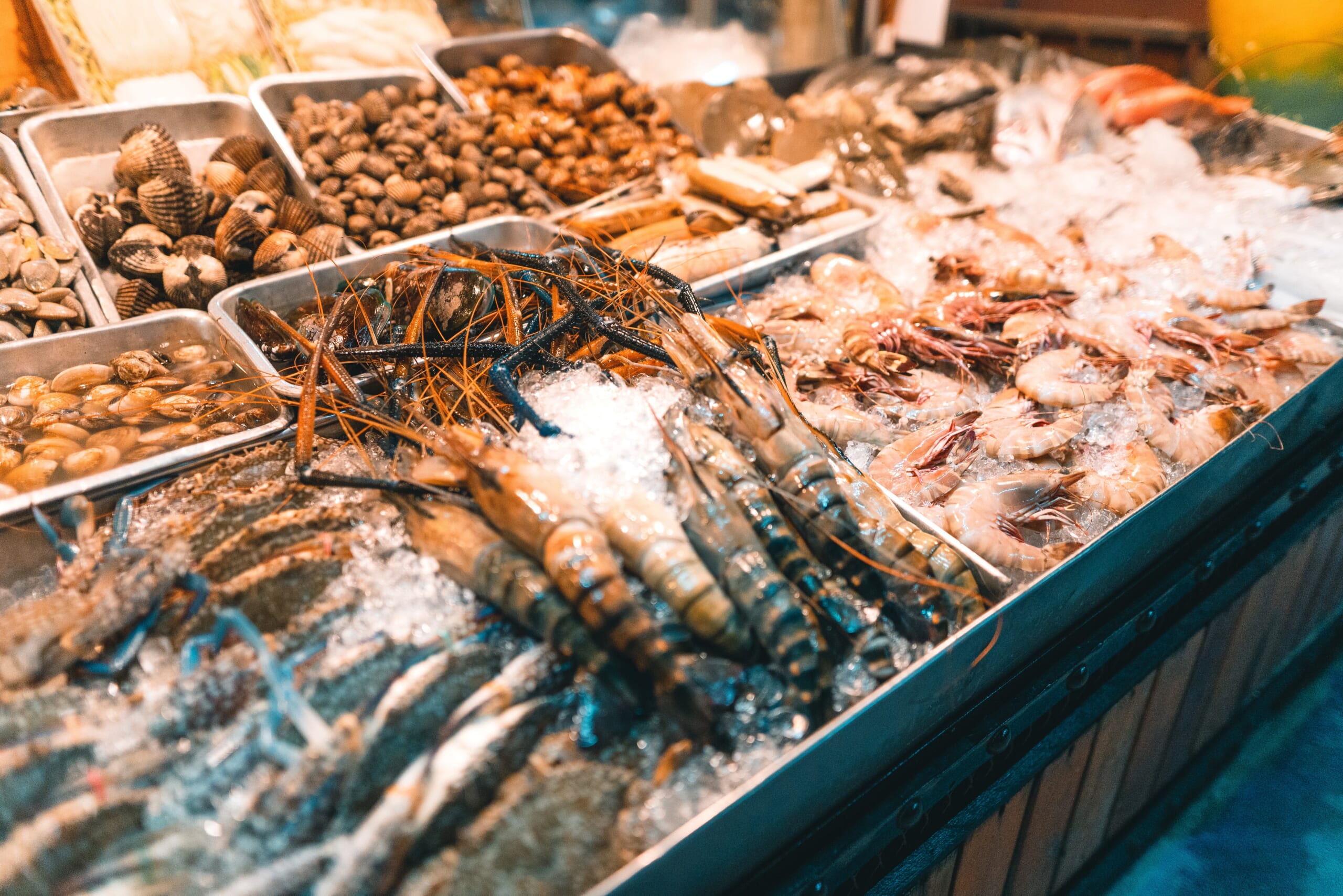 fresh-seafood-fish-shrimp-shellfish-at-Jagalchi-Fish-Market-busan