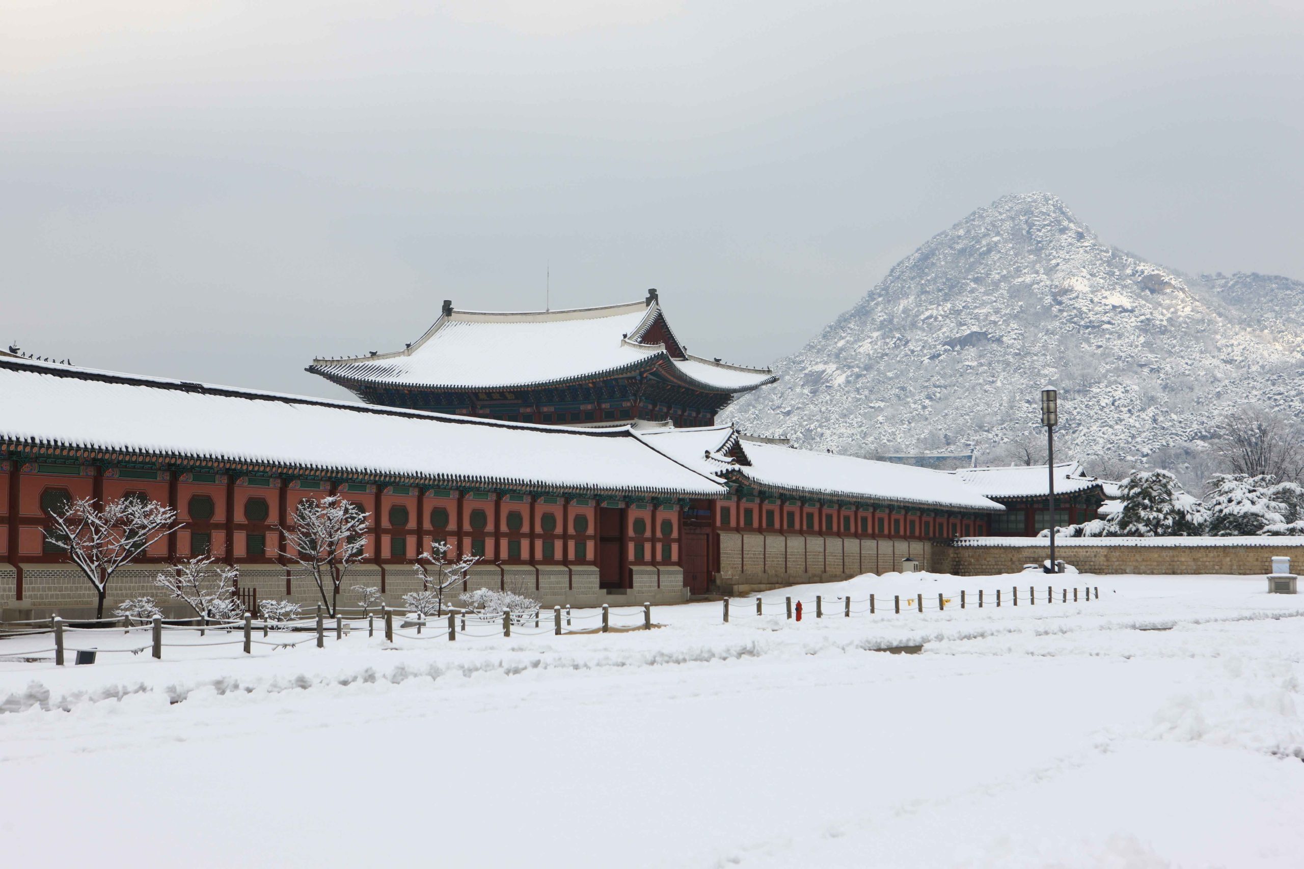 Gyeongbok Winter