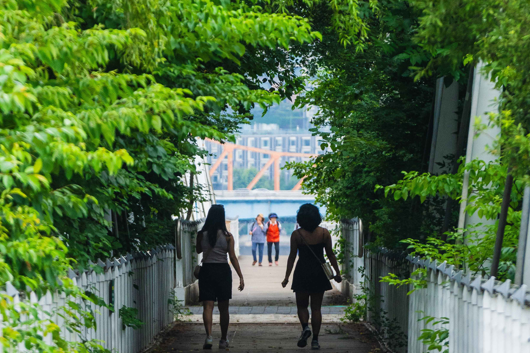 Seoul Forest