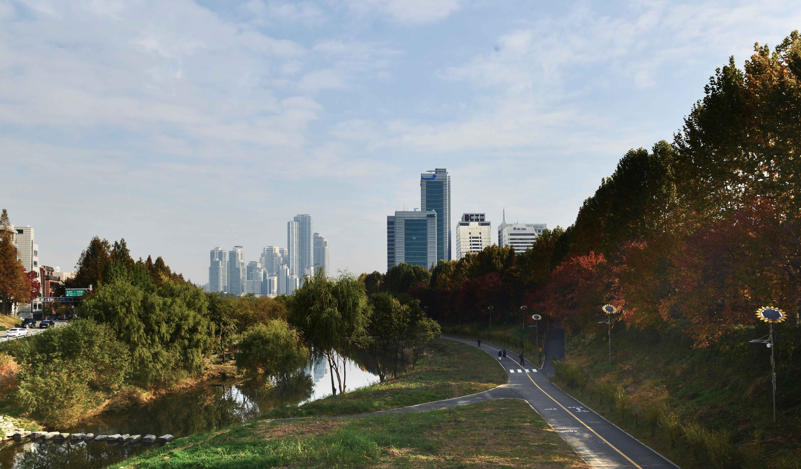 Yangjaecheon Stream Road