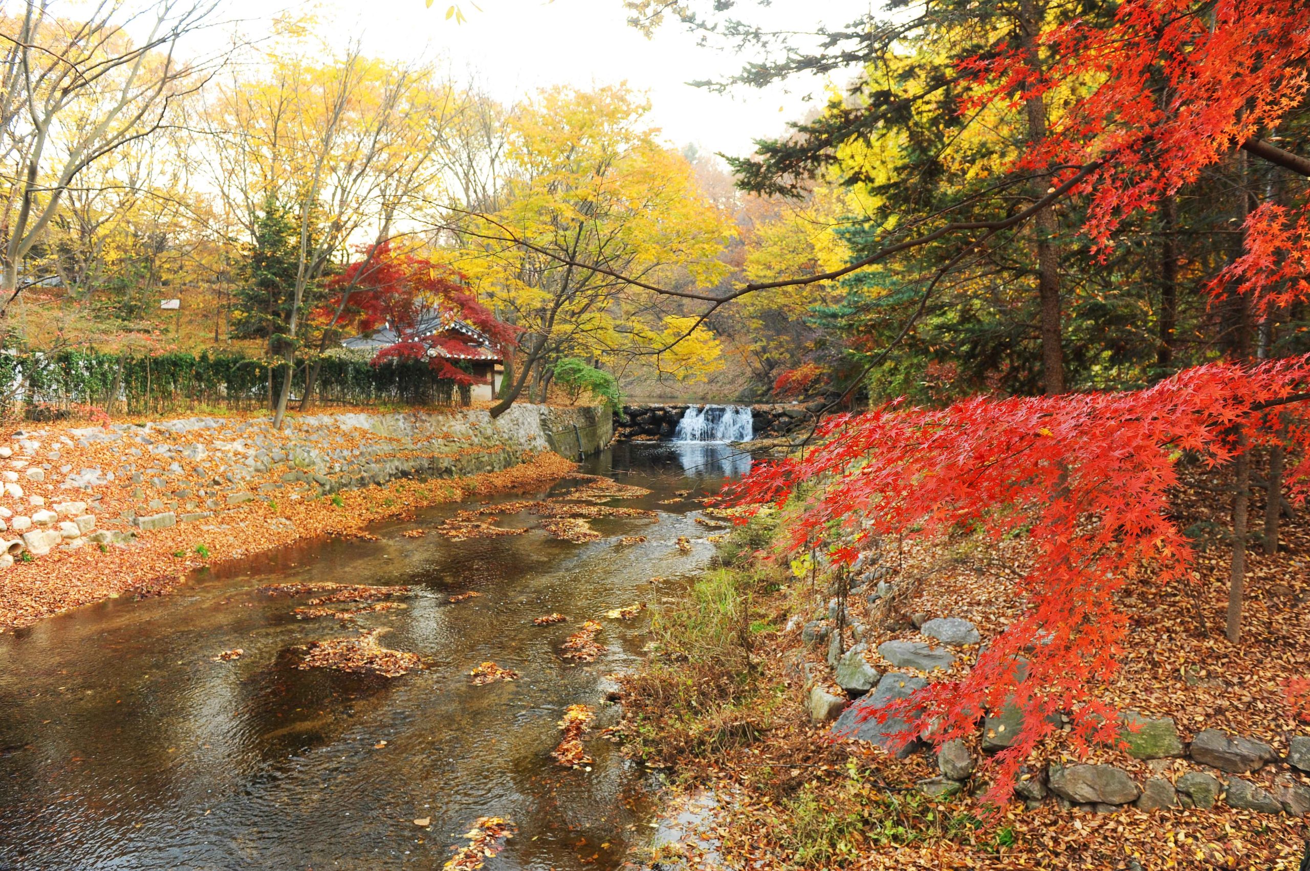 Yongin Korean Folk Village