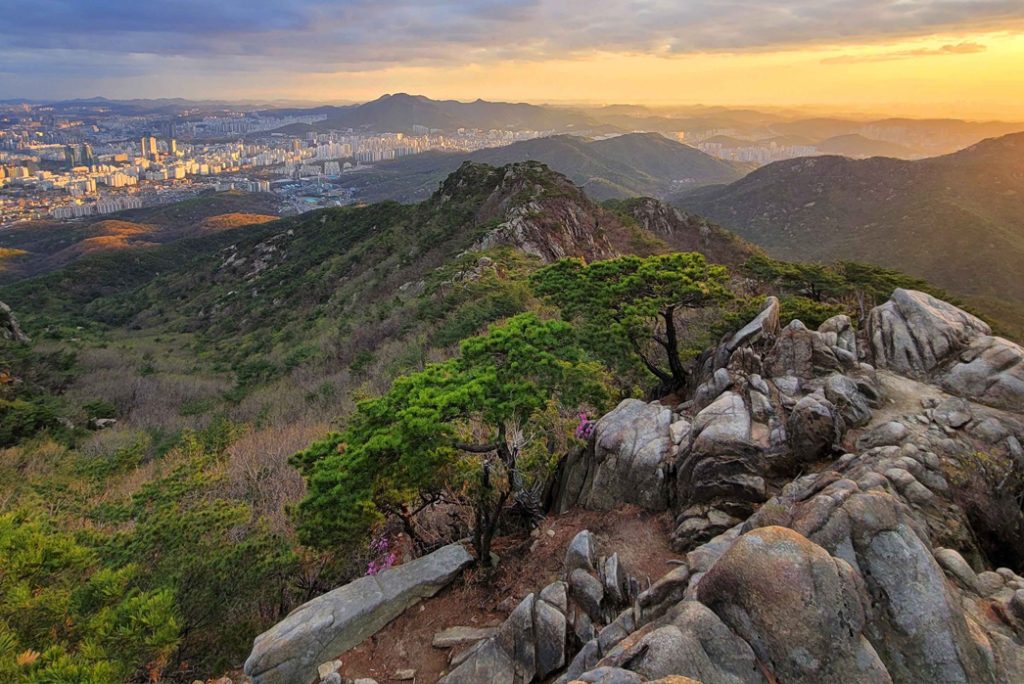 Top 15 Natural Wonders in Seoul: Exploring the City’s Hidden Green Gems