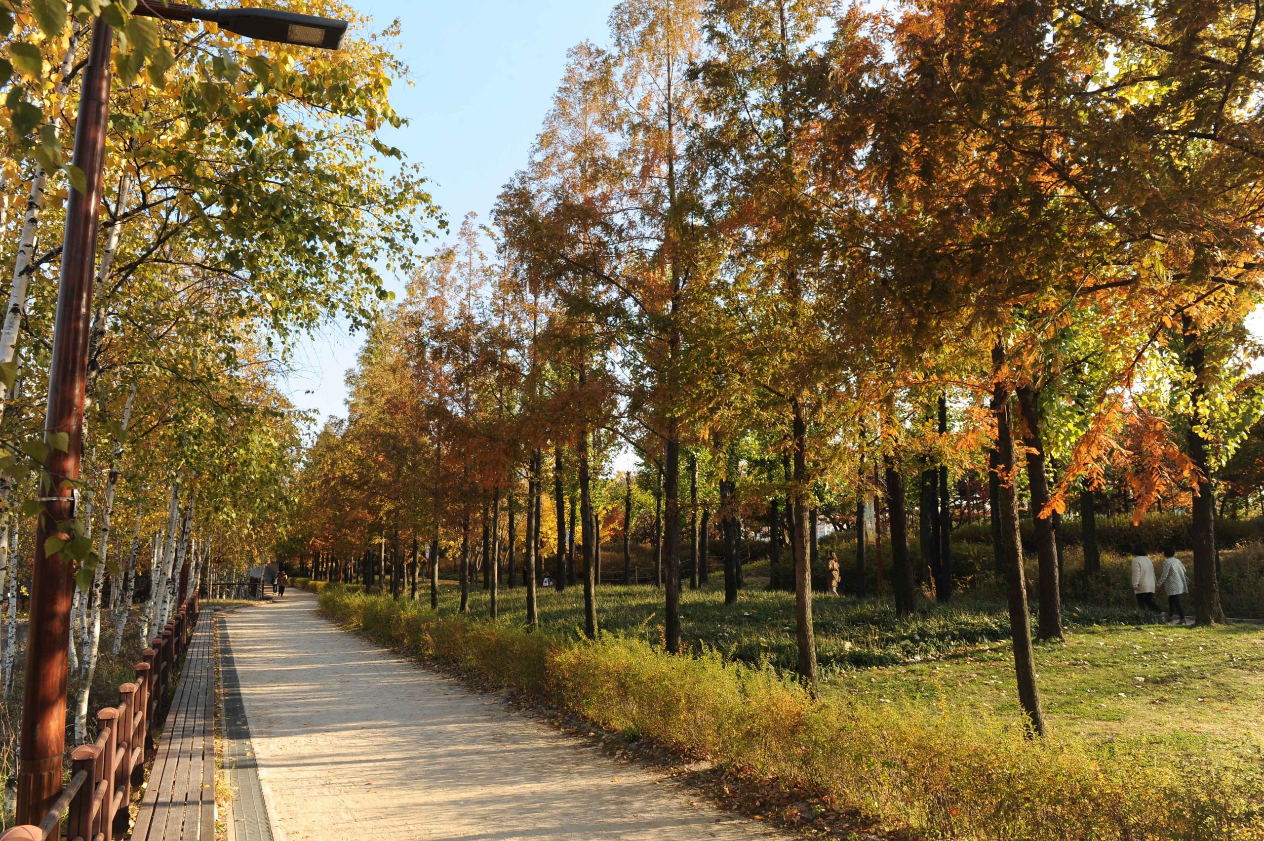 A Guide to Seoul’s Urban Parks: Nature in the Heart of the City