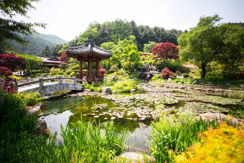 10 Best Things to Do in Seoul in the Summer